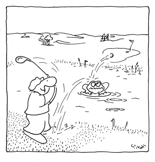 Golfer Hits Frog.