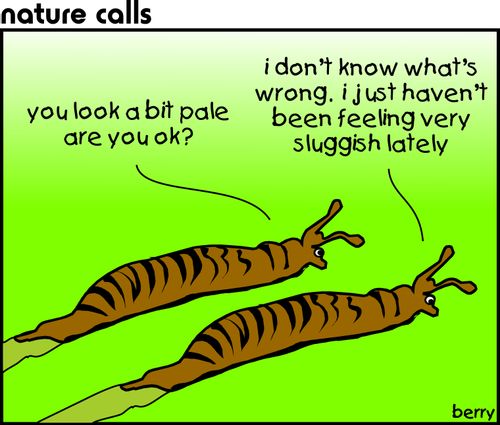 "I've been feeling very sluggish lately."