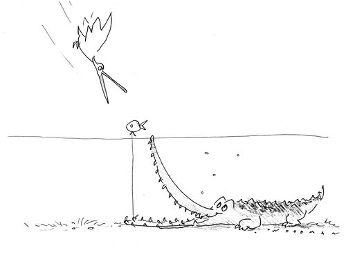 Cunning Crocodile.