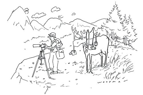 Man hanging cameras on Moose Antlers.