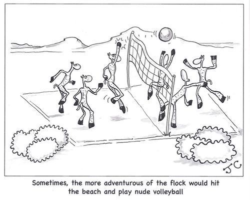 Sometimes, the more adventurous of the flock would hit the beach and play nude volleyball.