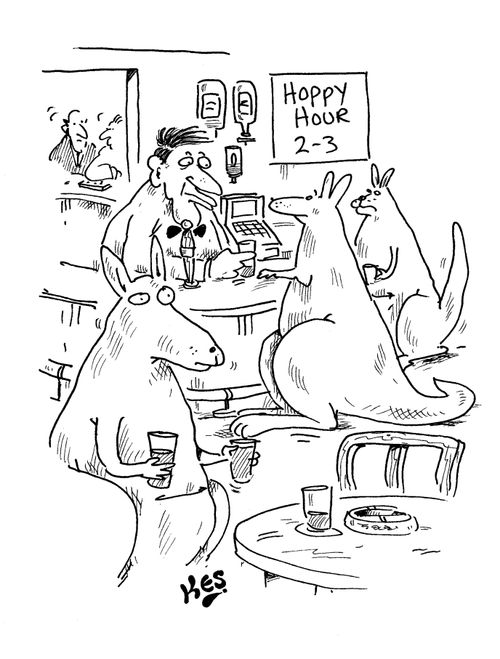 Kangaroos enjoy a drink during 'Hoppy hour'.