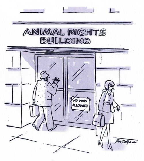 Animal Rights Building
