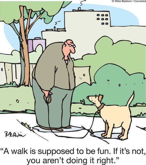 'A walk is supposed to be fun. If it's not, you aren't doing it right.'