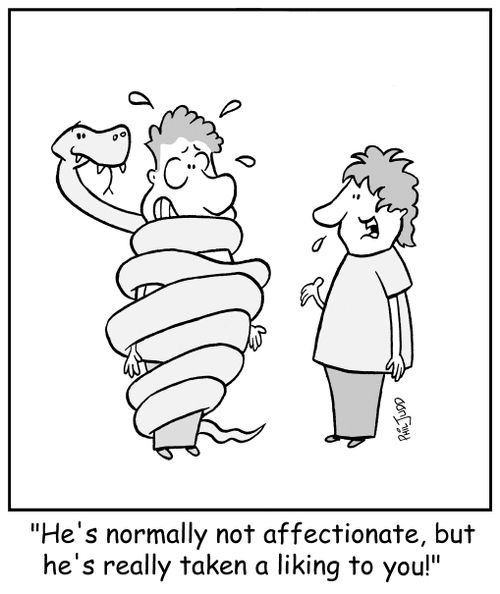 'He's normally not affectionate, but he's really taken a liking to you!'