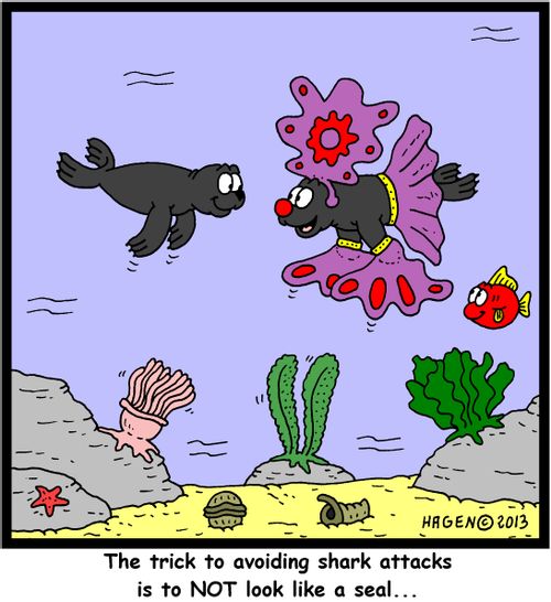 'The trick to avoiding shark attacks is to NOT look like a seal...'