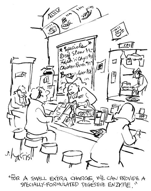 'For a small extra charge, we can provide a specially-formulated digestive enzyme.'