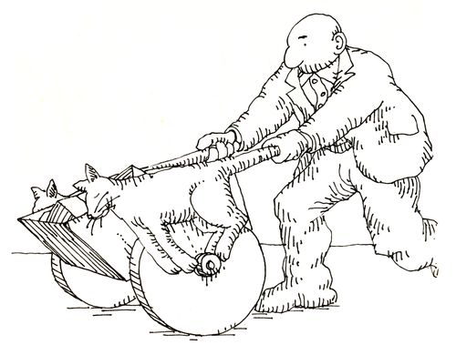 101 uses of a dead cat: wheelbarrow