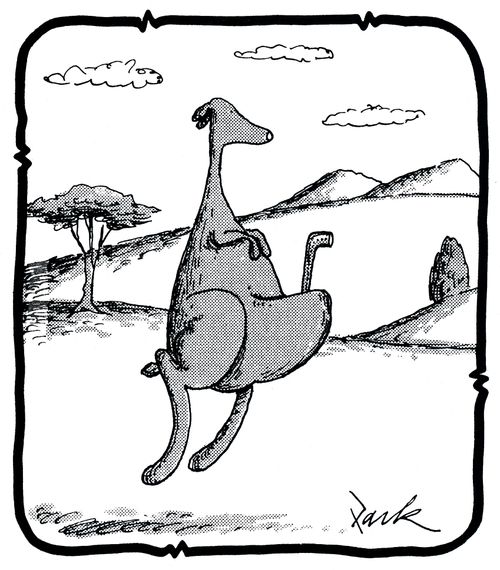 Kangaroo and Periscope.