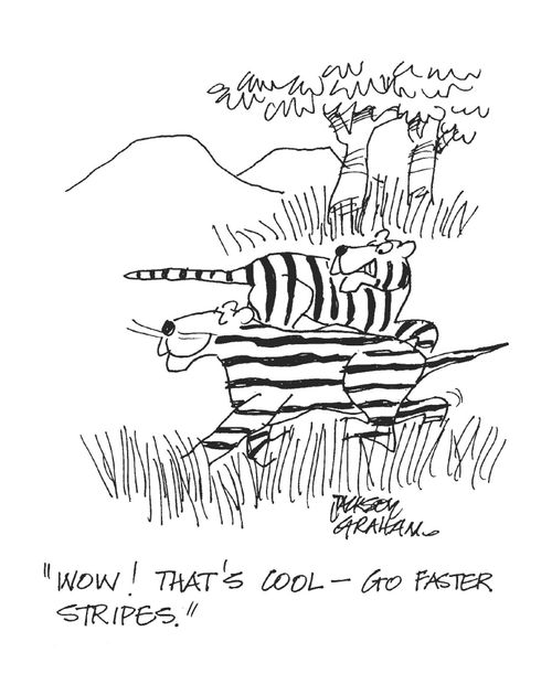 'Wow! that's cool - go faster stripes.'