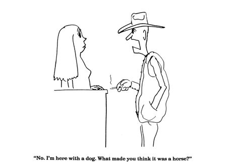 'No.  I'm here with a dog.  What made you think it was a horse?'