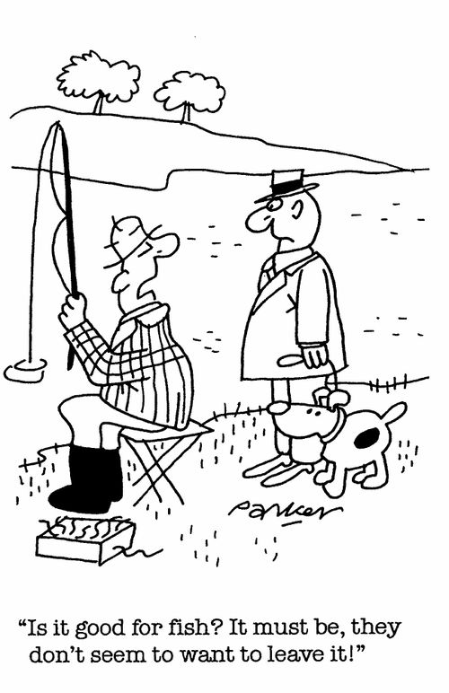 'Is it good for fish? It must be, they don't seem to want to leave it!'