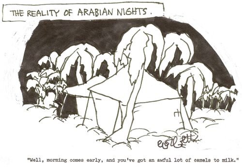 The reality of Arabian nights: 'Well, morning comes early, and you've got an awful lot of camels to milk.'