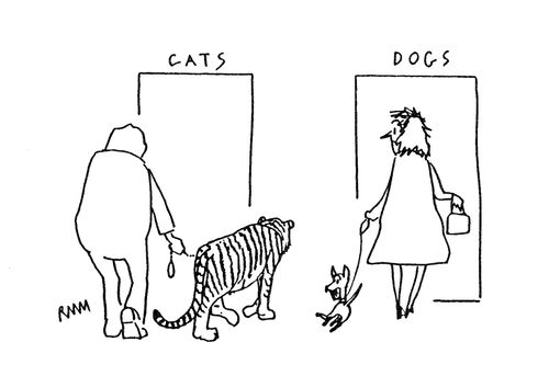 Cats and Dogs.