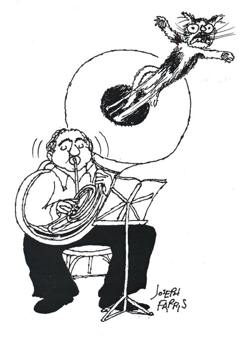 Cat being blown from tuba
