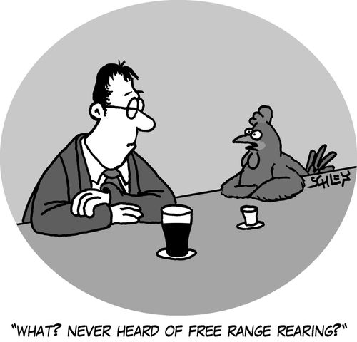 'What? Never heard of free range rearing?'