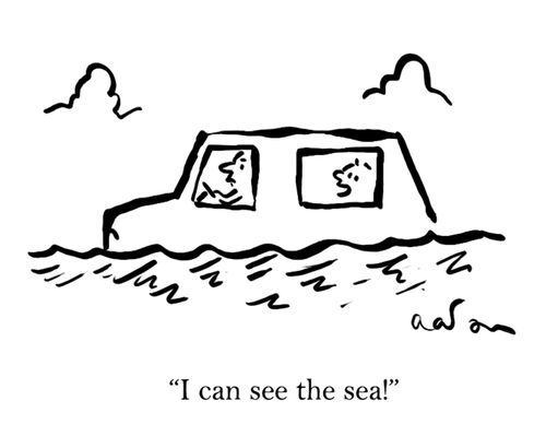 'I can see the sea!'