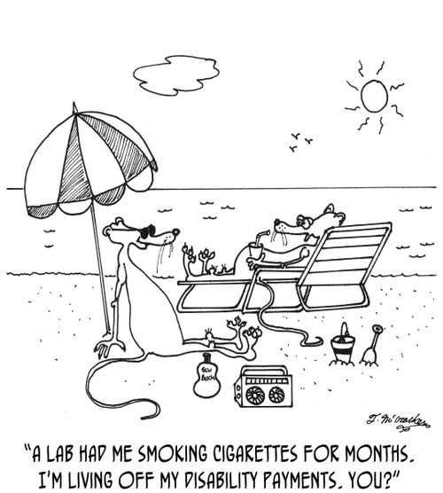 'A lab had me smoking cigarettes for months. I'm living off my disability payments. You?'