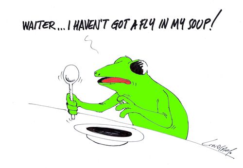 'Waiter...I haven't got a fly in my soup!'