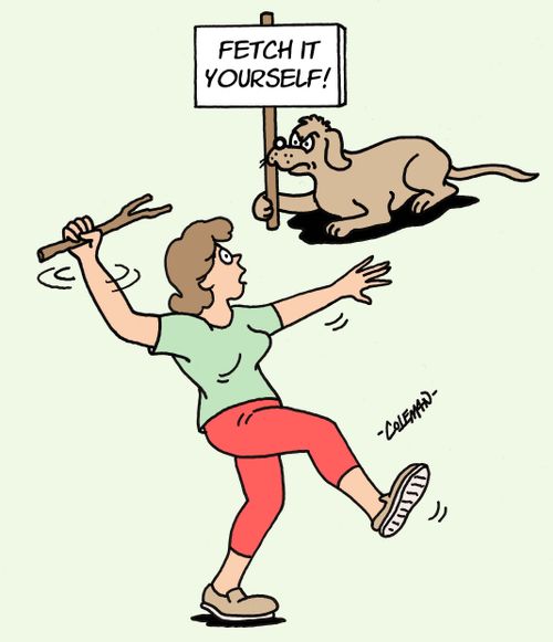 Woman about to throw a stick for a dog.  Dog holds sign saying, 'Fetch it yourself!'