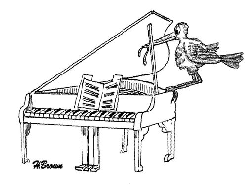 Bird tries to feed a piano.