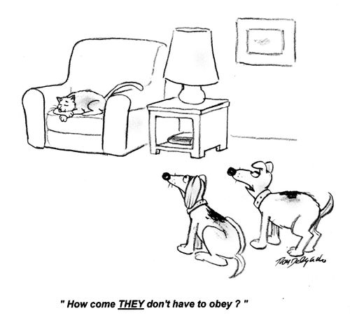 'How come THEY don't have to obey?'