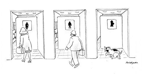 Toilet for dogs.
