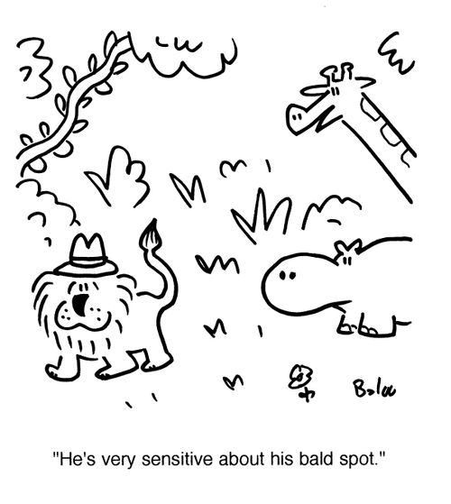 'He's very sensitive about his bald spot.'