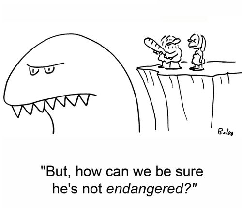 'But, how can we be sure he's not endangered?'