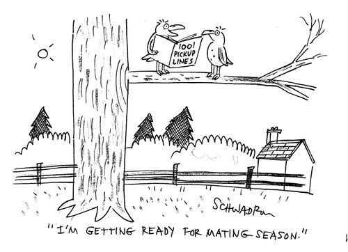 Bird reading '1001 pickup lines' - 'I'm getting ready for mating season.'