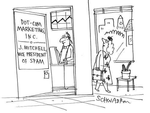 Dot.Com Marketing - Vice President of Spam.