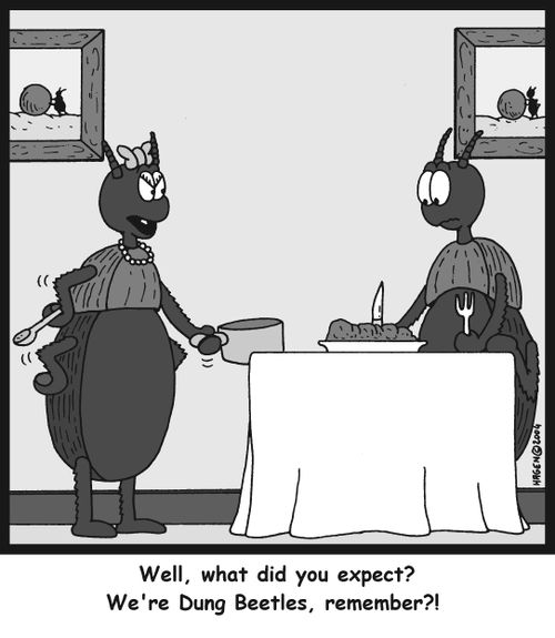 'Well, what did you expect? We're Dung Beetles, remember?!'