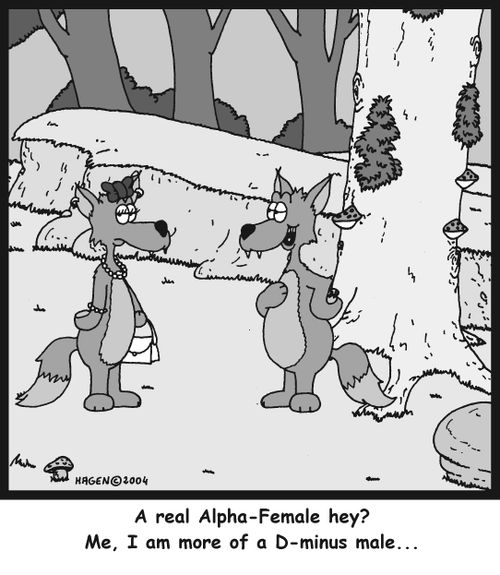 'A real Alpha-Female hey? Me, I am more of a D-minus male...'