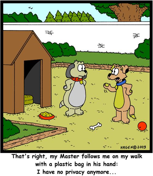 'That's right, my Master follows me on my walk with a plastic bag in his hand: I have no privacy anymore...'