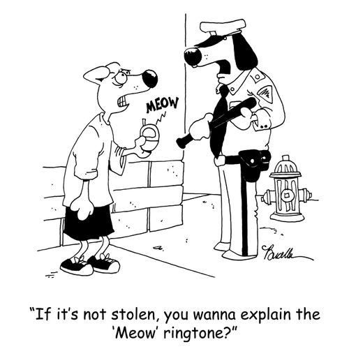 'If it's not stolen, you wanna explain the 'Meow' ringtone?'