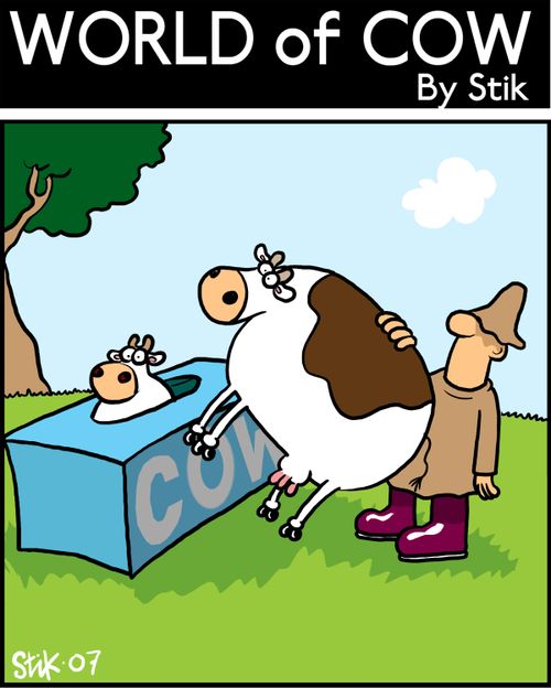 Cow-sized Tissues.