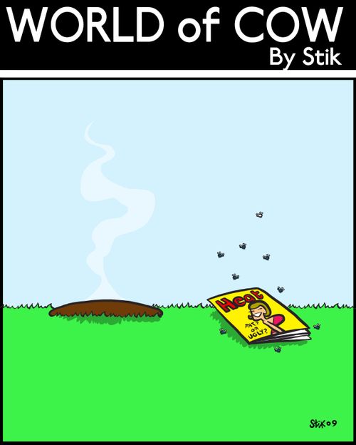 8 out of 10 flies prefer Heat.