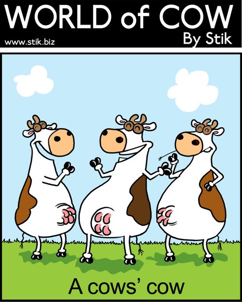 A cows' cow
