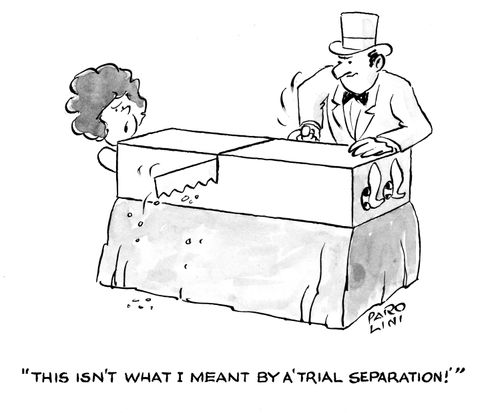 'This isn't what I meant by a 'trial separation'!'