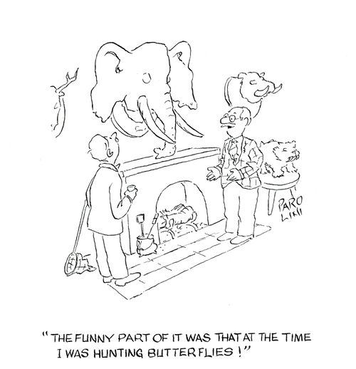'The funny part of it was that at the time I was hunting butterflies!'