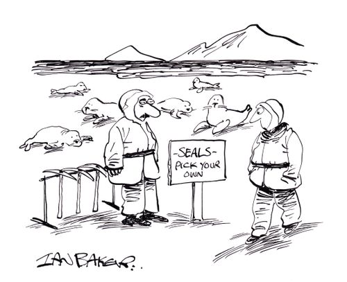 Seals - Pick your own.