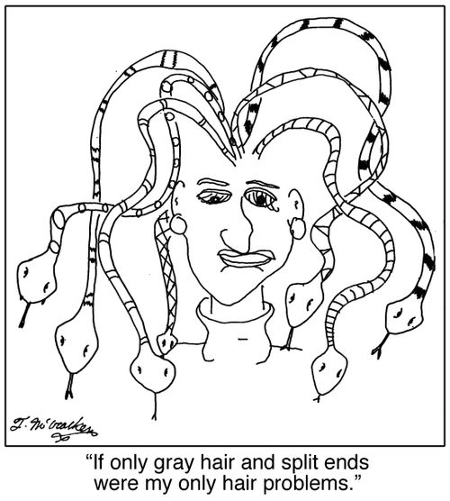 'If only gray hair and split ends were my only hair problems.'