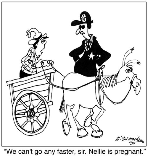 'We can't go any faster, sir. Nellie is pregnant.'