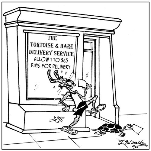 The Tortoise and Hare Delivery Service, Allow 1 to 365 days for delivery,