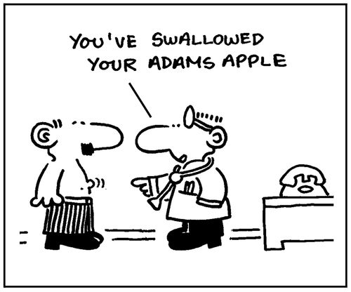 'You've swallowed your Adam's apple.'
