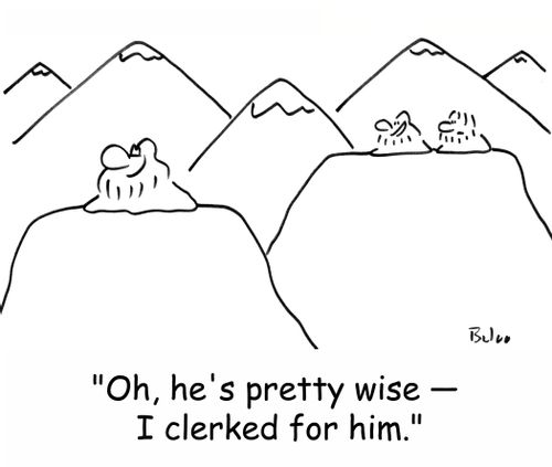 'Oh, he's pretty wise -- I clerked for him.'