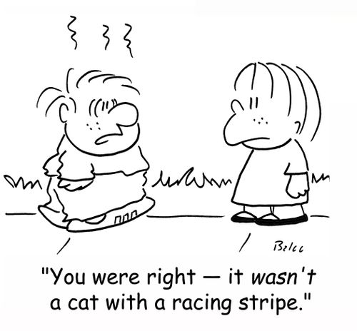 'You were right - it WASN'T a cat with a racing stripe.'