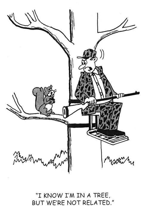 ' I know I'm in a tree but we're not related.'