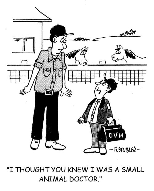 'I thought you knew I was a small animal doctor.'