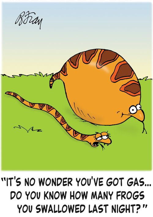 'It's no wonder you've got gas...do you know how many frogs you swallowed last night?'